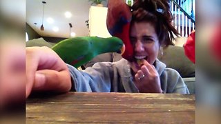 These Parrots want Crackers!