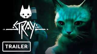 Stray - Official Nintendo Switch Announcement Trailer | Nintendo Direct 2024