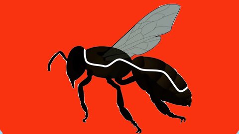 Zombie Bee Invasion Happening in U.S. ~ The Buzzing Dead