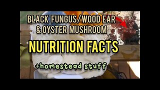 Black Fungus/Wood Ear Nutrition Facts and Homestead Stuff - Ann's Tiny Life
