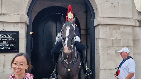 That's not the right way to approach for a photo #horseguardsparade