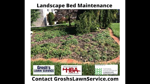Landscape Bed Maintenance Williamsport MD Video GroshsLawnService.com