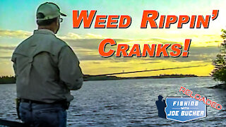 MUSKY | Weed Rippin' Cranks for Muskies! | Fishing With Joe Bucher RELOADED