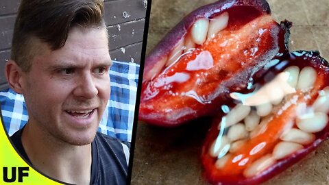 RARE!! Watermelon Berry Taste Test | Unusual Foods