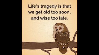 Life's Tragedy [GMG Originals]