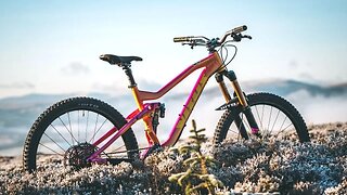 THE CUSTOM UNICORN MTB BUILD