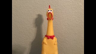 A very loud rubber chicken!