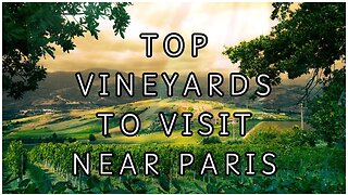 Top Vineyards to Visit Near Paris During the 2024 Olympics! | Quick Glimpse | France
