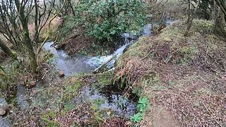 Finding a pitch at Reddacleeve farm campsite. Dartmoor. 20th March 2023 part 10