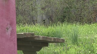 Memory garden to honor victims of violence