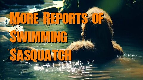 More reports of Swimming Sasquatch