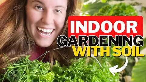 Growing Food Indoors With Potting Soil & No Hydroponics. Three Things To Consider Growing Indoors.