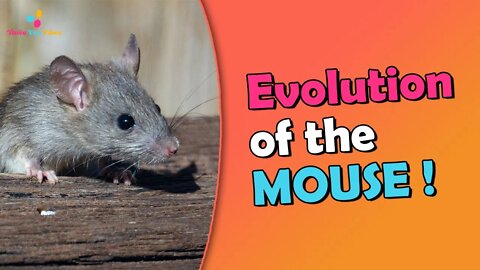 The Story of The First Mouse on Earth