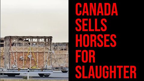 Canada sells HORSE MEAT to Japan...