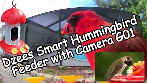 Dzees Smart Hummingbird Feeder with Camera G01: Unboxing, Setup, Install & Review