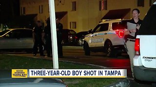 3-year-old boy shot at Tampa apartment complex