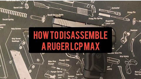 How to disassemble a Ruger LCP Max
