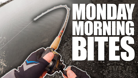 Daiwa MagForce Blast from the Past | Monday Morning Bites: Episode 3