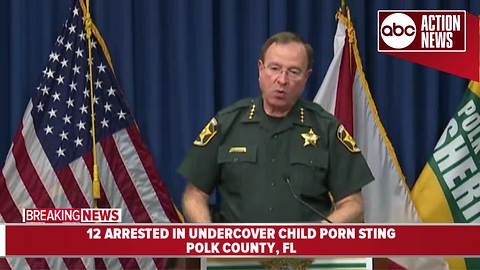 Polk County detectives arrest more than 12 in undercover child porn sting