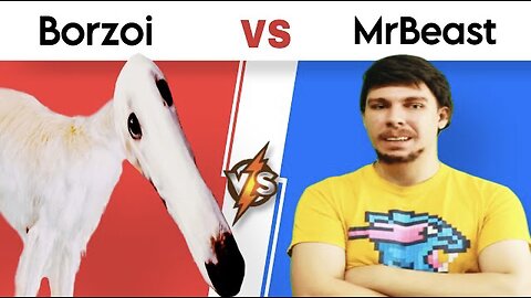 Real Mr Beast vs Borzoi Dog be like [Meme Fight]