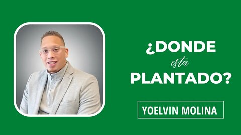 ¿DONDE ESTÁ PLANTADO? I Yoelvin Molina