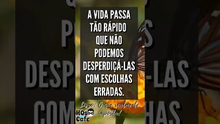 Frase do Livro O que realmente importa | #shorts