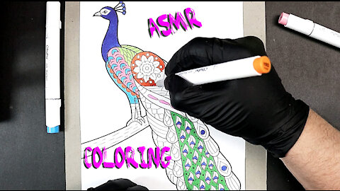 ASMR Coloring Animals - Peacock