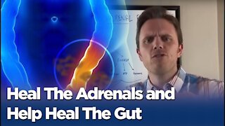 Leaky Gut and Adrenal Fatigue - Heal The Adrenals and Help Heal The Gut