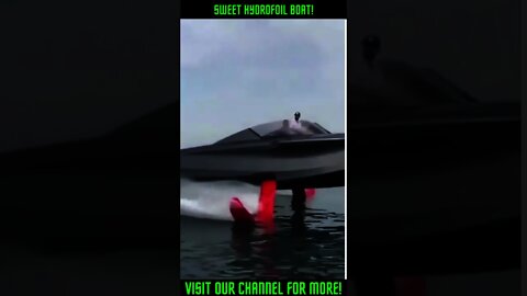 Sweet Hydrofoil Boat #Shorts #viral #Hydrofoil #HydrofoilBoat #HydrofoilBoats
