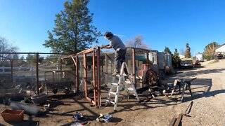 How to build a Guinea Fowl enclosure Pt. 2 | Guinea Fowl enclosure finally finished-Beautiful Living