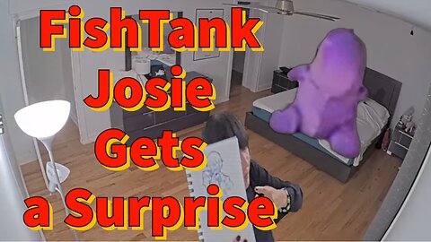 FishTank Live Josie Gets a Surprise