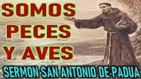 SAN ANTONIO SOMOS PECES Y AVES SERMONES SAN ANTONIO DE PADUA