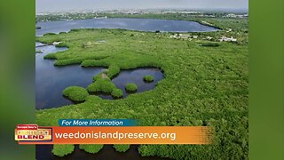 Weedon Island | Morning Blend