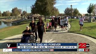 Walk MS: Bakersfield, hosted by the National MS Society to help end MS forever