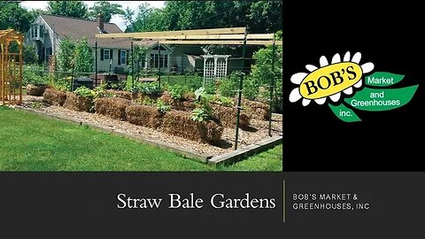 108 Bob's LIVE: Straw Bale Gardening