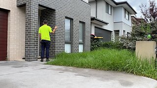 She had no idea this video would be soooo satisfying! Tiny Lawn Tuesdays Free Lawn Clean Up!