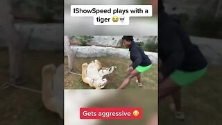 ishowspeed playes with a tiger 🐅 😳 #ishowspeed