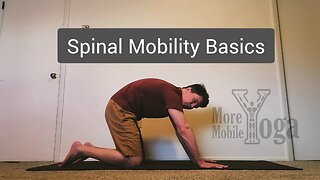 Spinal Mobility Basics
