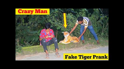 Fake Tiger VS Crazy Man Prank Video !! So Funny Man Reaction With Fake Tiger // @Ting Fun Prank