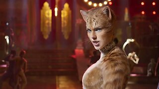 House 6 Review: Cats