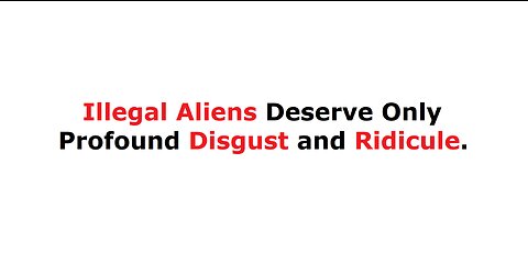 Illegal Aliens Deserve Only Profound Disgust and Ridicule.