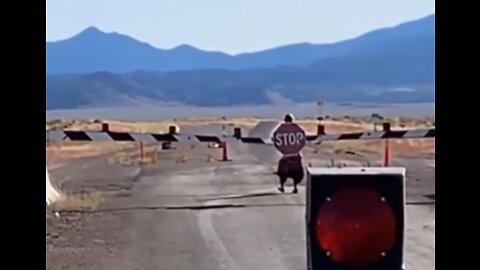 Someone Actually Raided Area 51