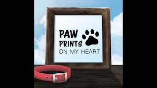 Paw Prints on My Heart [GMG Originals]