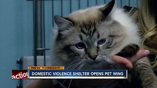Domestic violence shelter expands section for pets