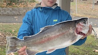 Urban RAINBOW Trout Fishing