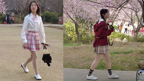 Spring is here, beautiful girls go to the park to see the cherry blossoms 春天到了，美丽的女孩子们到公园里看樱花来了
