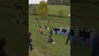 Amish Horse Fun
