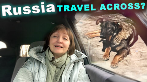 Stray dogs. Why I can't travel across Russia? Spring warm weather, shopping. Let's take a walk