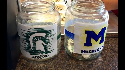 Conclusive proof of the better college... Michigan State University vs University of Michigan