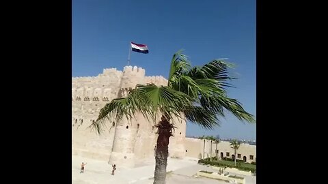 Watch These Palm Trees Surrounding That Historical Citadel